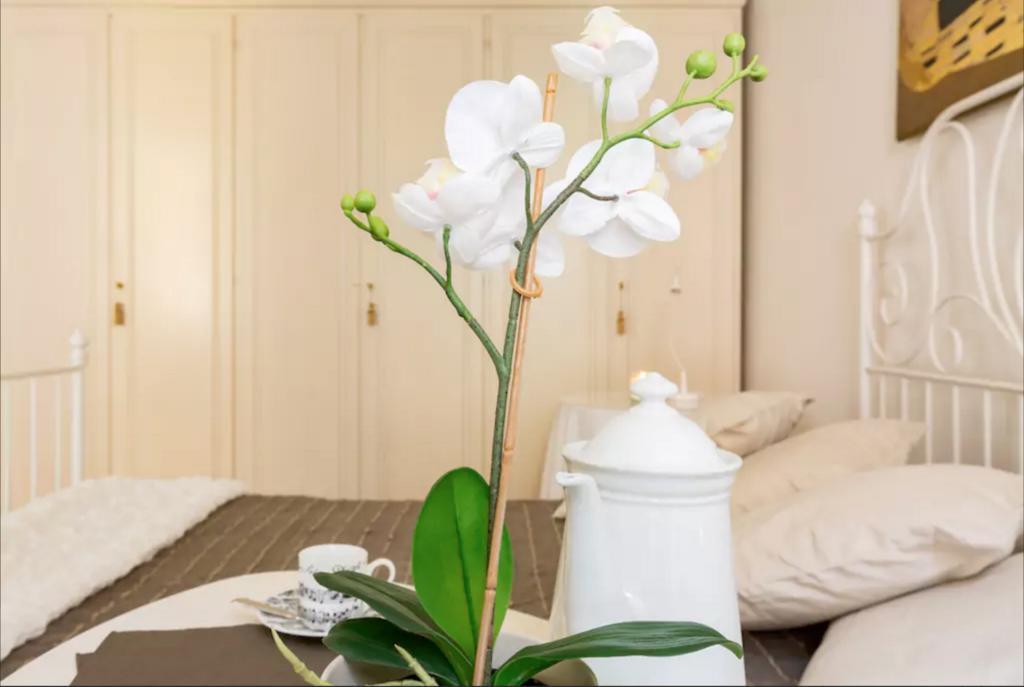 Via Laurina 40 Apartment Roma Eksteriør bilde